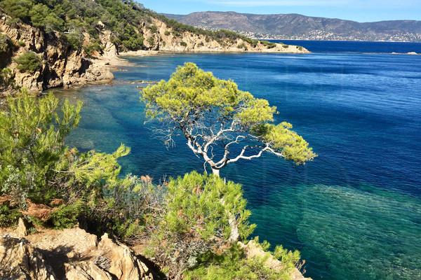 Waterfront property in Cap Bnat