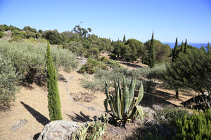 sea view villa in le Lavandou