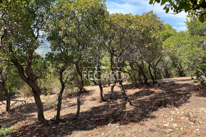 Plot for sale  in Cap ngre le Lavandou