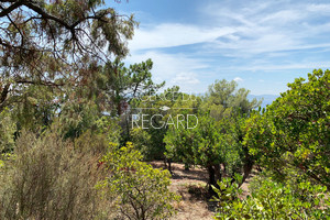 Plot for sale in Cap Ngre le Lavandou