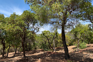 Plot for sale in le Lavandou