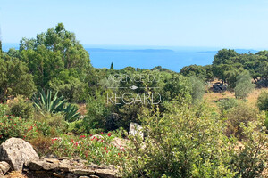 Property with sea view for sale in le Lavandou