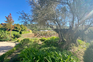 Property in Hyres