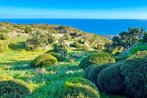 property with sea view in Le Lavandou