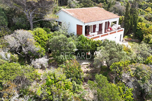 property with sea view in Levant island