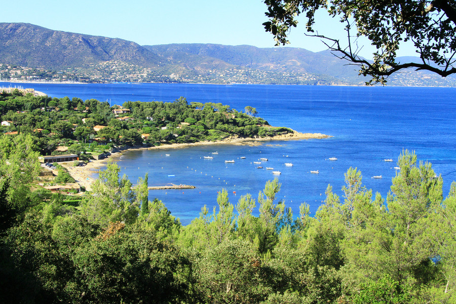 Sea view plot in Gaou Bénat - THIS PLOT HAS BEEN SOLD BY AGENCE DU REGARD