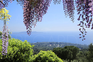 villa with sea view in Carqueiranne